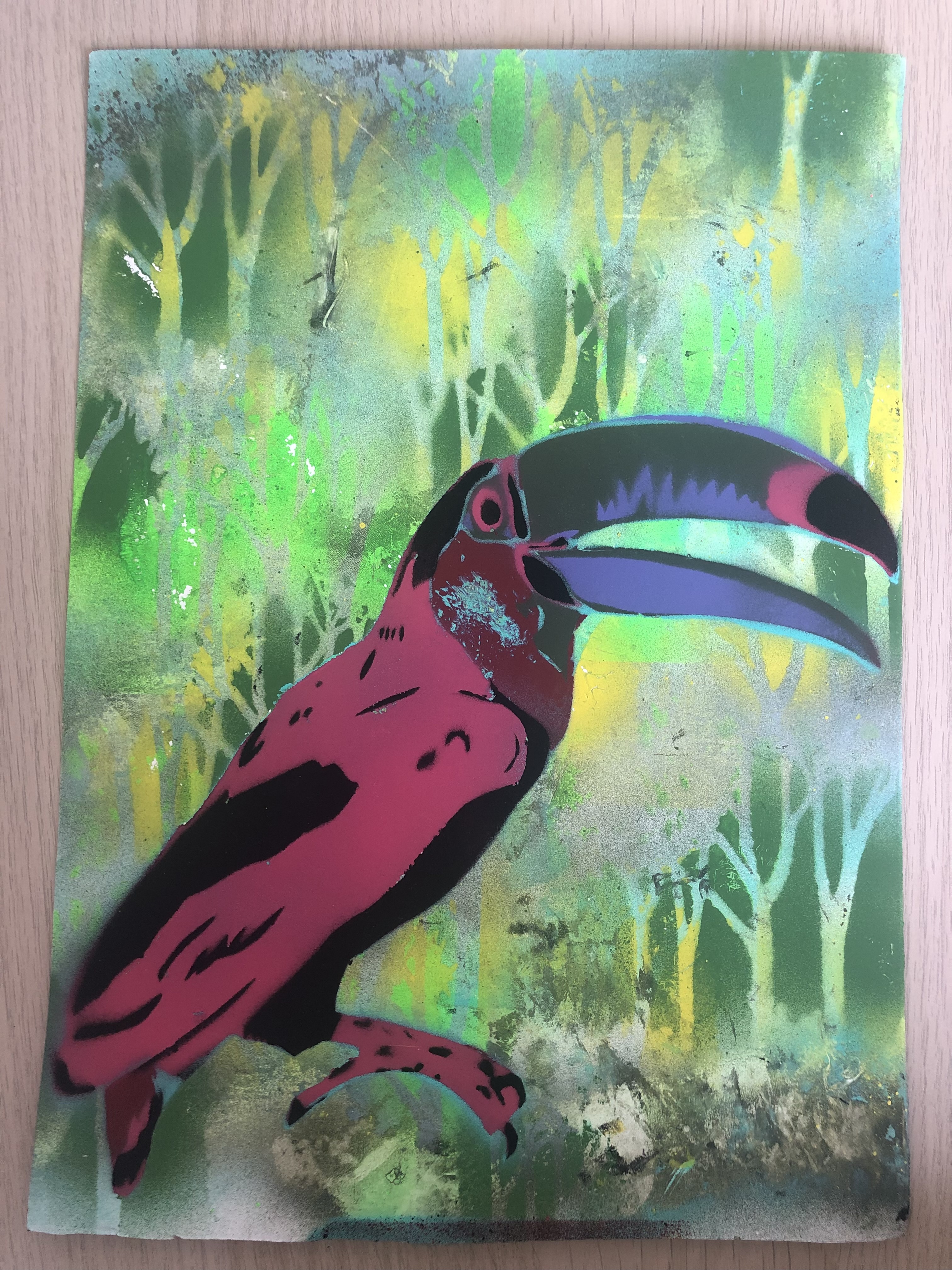 Wild Toucan